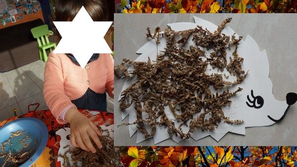 hérisson décoré par Clémence